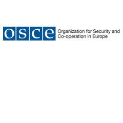 High Commissioner on National Minorities addresses OSCE Parliamentary Assembly Autumn Meeting on Ukraine crisis