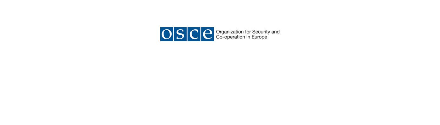 OSCE PA human rights committee Chair Ignacio Sanchez Amor deplores the killing of journalist Pavel Sheremet, calls for exhaustive investigation